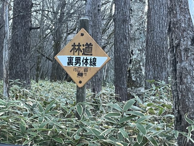 いつかは登ろうと思っていた、端正な円錐形の山容を持つ日光男体山‼︎ 志津小屋から登って来ました。